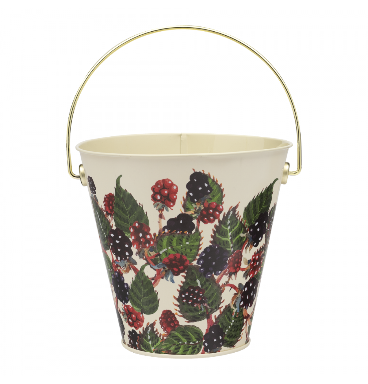 Blackberries Bucket Tin