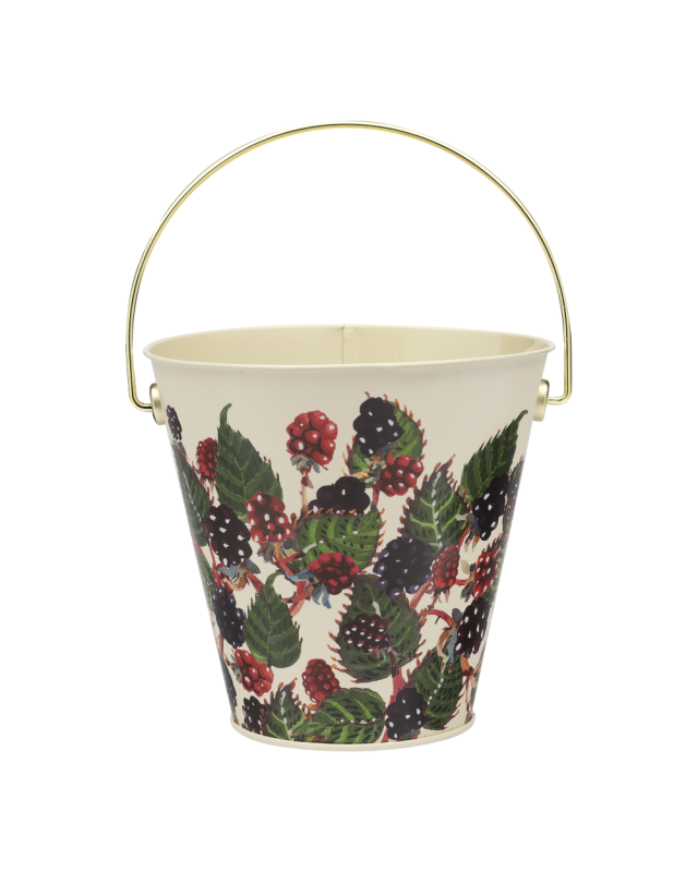 Blackberries Bucket Tin