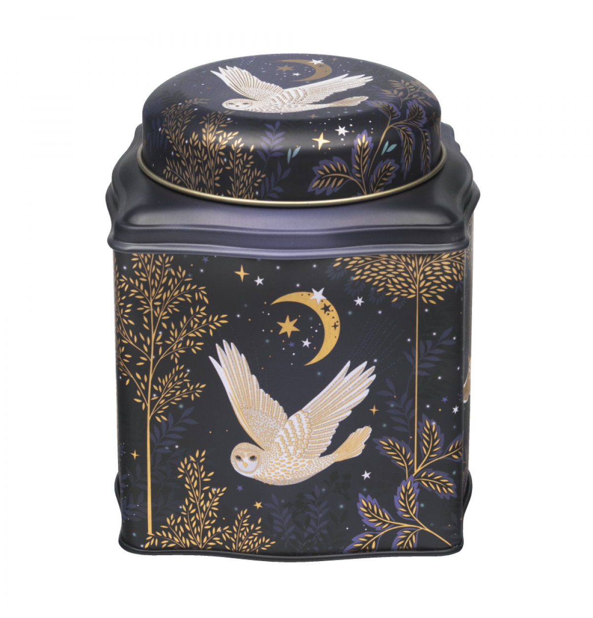 Sara Miller Magical Nightfall Tea Caddy Tin