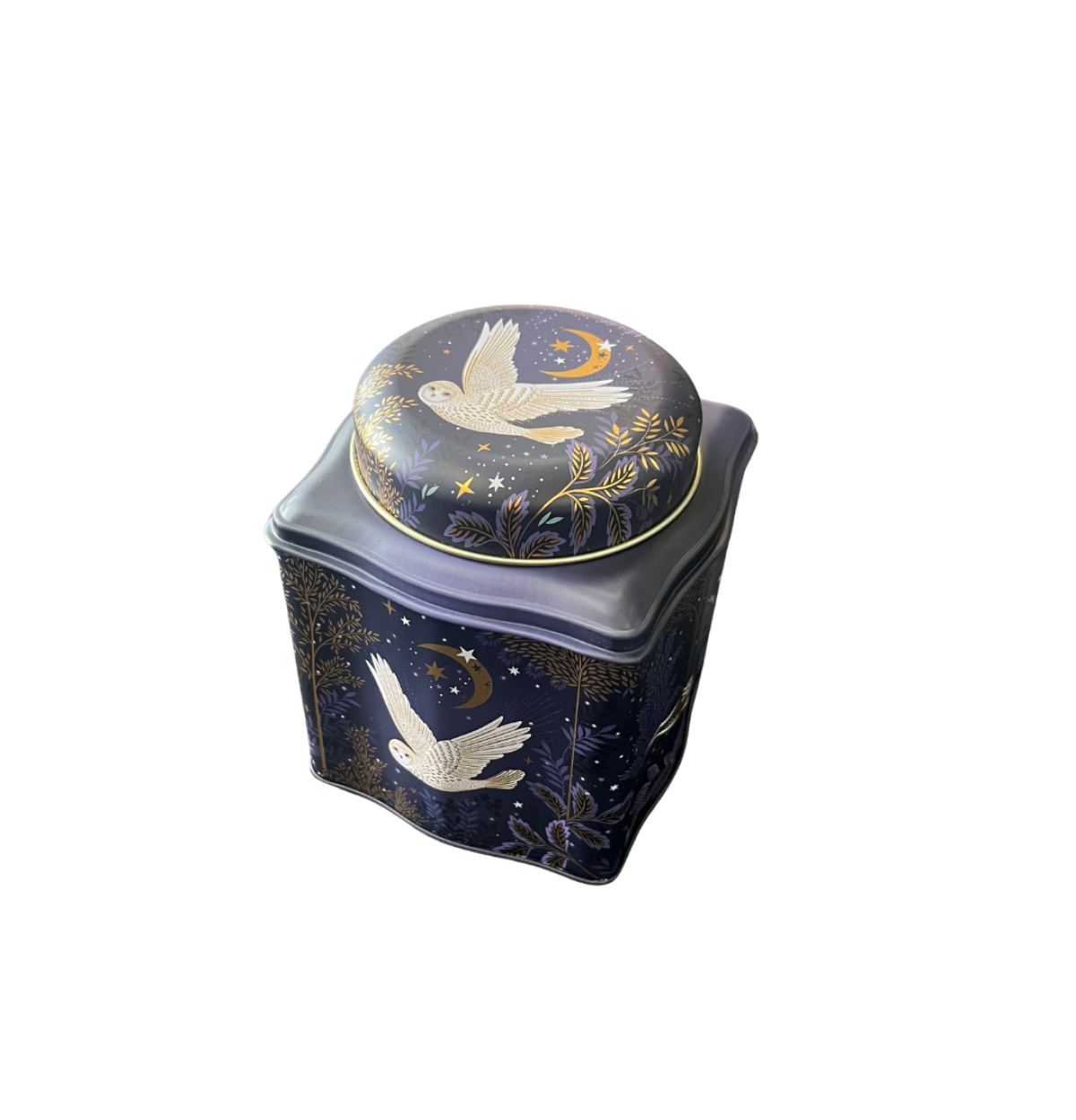 Sara Miller Magical Nightfall Tea Caddy Tin