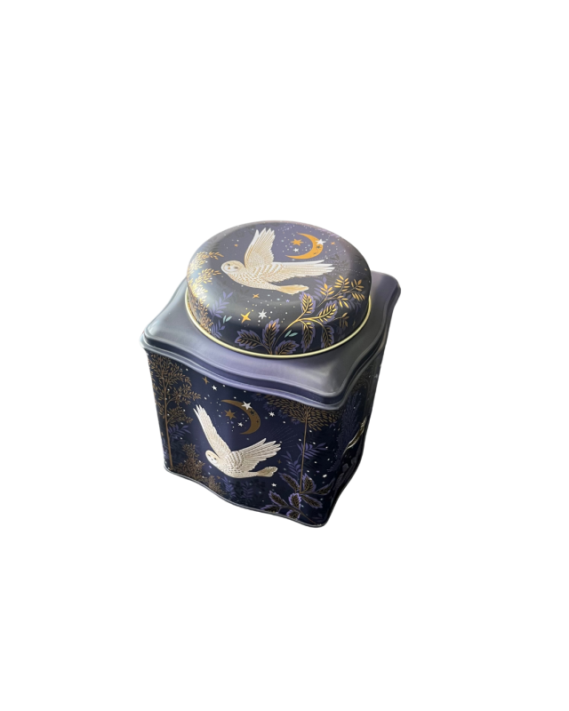 Sara Miller Magical Nightfall Tea Caddy Tin